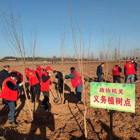 区政协开展义务植树活动