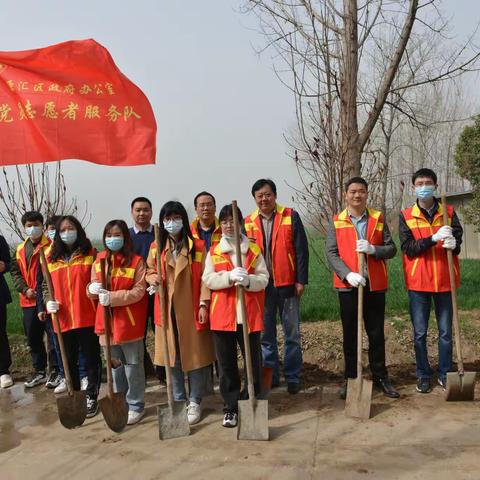 春风吹新绿，植树正当时——源汇区政府办公室开展义务植树活动