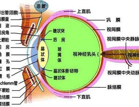 预防近视，贵在坚持！