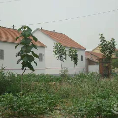 “网”住罂粟，“格”中无毒