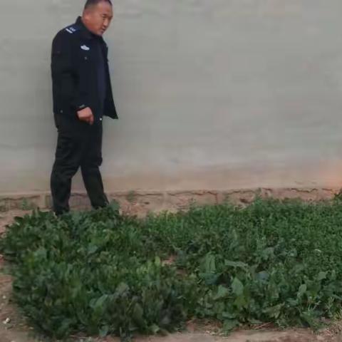 珍爱生命，远离毒品