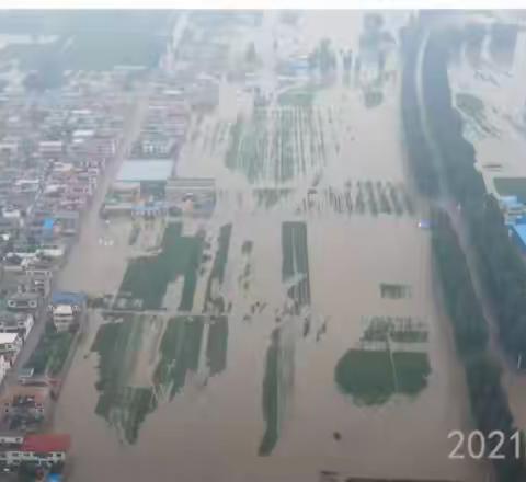 暴雨无情人有意 众志成城抗洪魔——博雅小学五年级队员在行动