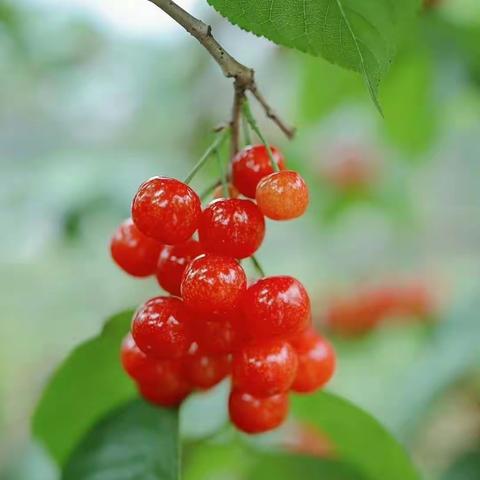 【随手拍】2023年五一假日