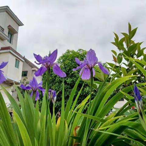 面对平凡琐碎的小事，感受平凡工作的价值