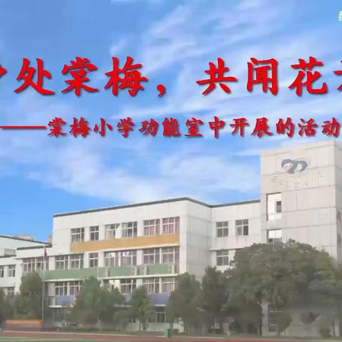 棠梅小学303班第二十四届素质教育开放周活动