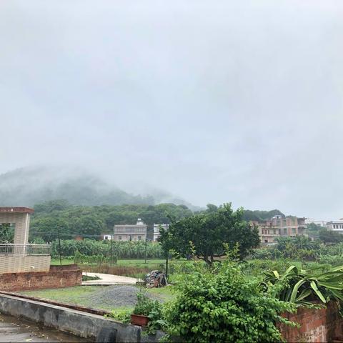 冯国城的暑假生活总结