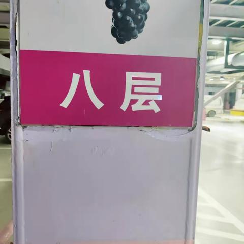 赛格国际2023年1月22日过夜车辆，拍照时间2023年1月23日6:30-7:30拍照人:樊强 确认人:金坤