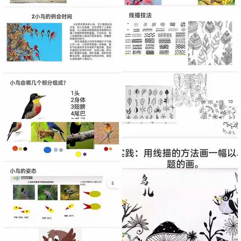 兴趣课（绘画）2小鸟开例会