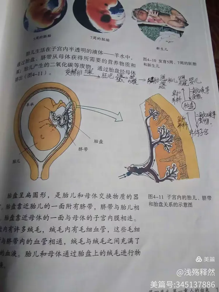 关于生物摄影教程笔记app的信息