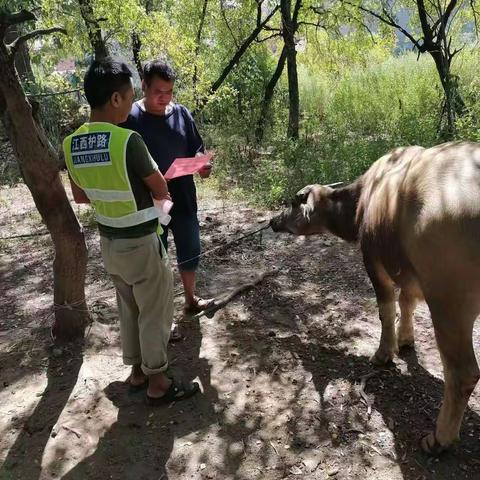 新界埠镇加强铁路沿线牲畜安全管理要求