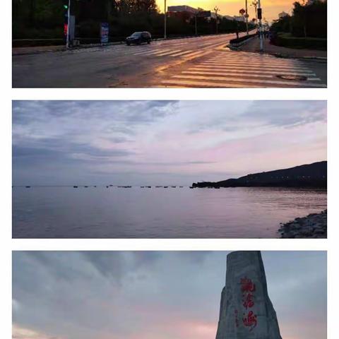 葫芦岛再研群文阅读   四中人矢志语文主题