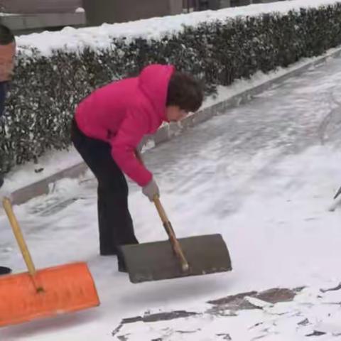 瑞雪纷飞至，物业除雪暖人心