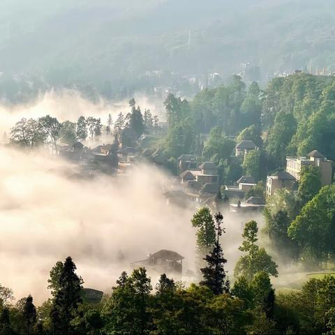 云南元阳梯田-多依树 景深合成