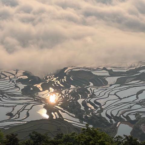 云南元阳梯田（多依树哈尼梯田）---全景图