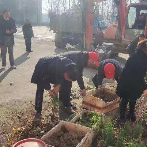 楠杆镇人居环境整治12月21日