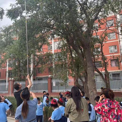 【山水十一小•教学】“红枣飘香庆国庆 丰收采摘话中秋”—灵武市第十一小学“打枣 品枣”劳动教育实践活动