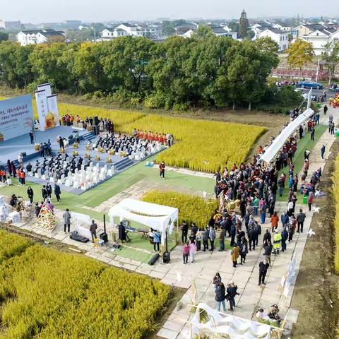 同绘共富新蓝图 海澜集团与蒲市村这对CP我磕了