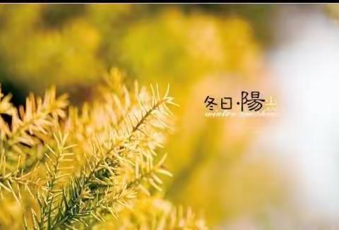 保定信誉楼2020年第三届陈列比赛