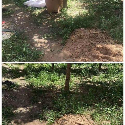 辛寨网格人居环境整治督查通报整改情况