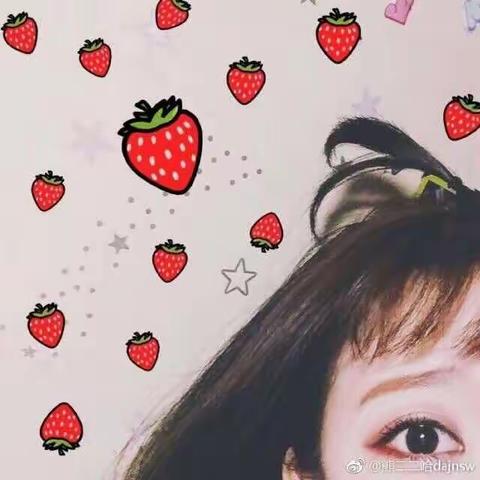 《锦鲤发家》陈芊芊沈之舟姜雨彤最新小说完整版阅读(2022年11月1日推荐小说)