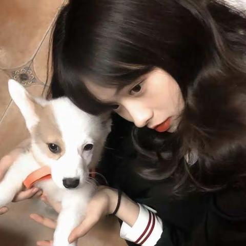 悔意挽回司年林水婳最新小说完整版阅读(2022年10月31日推荐小说)