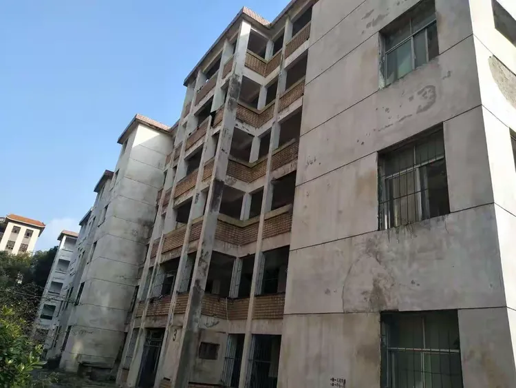 我的母校一黄冈林校