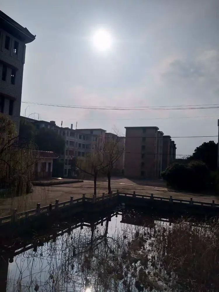 我的母校一黄冈林校