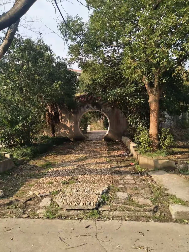 我的母校一黄冈林校