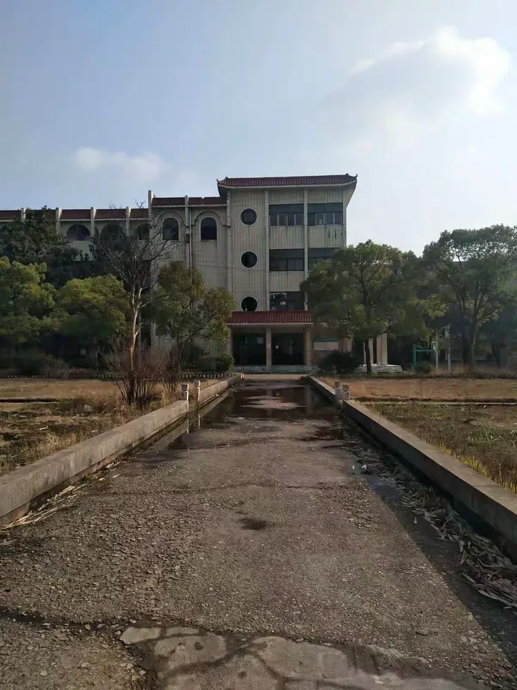 我的母校一黄冈林校