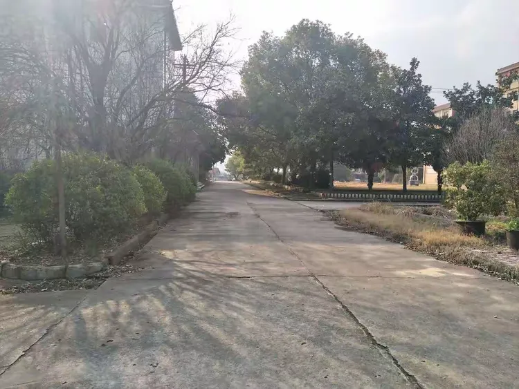 我的母校一黄冈林校