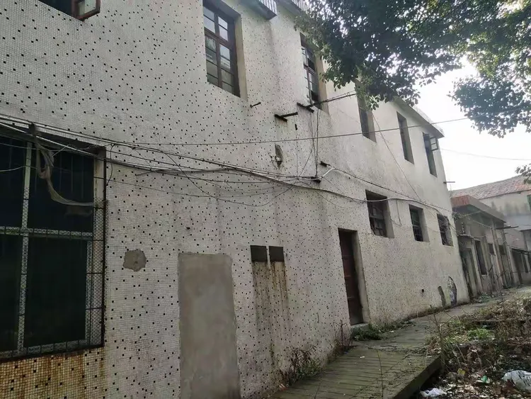 我的母校一黄冈林校