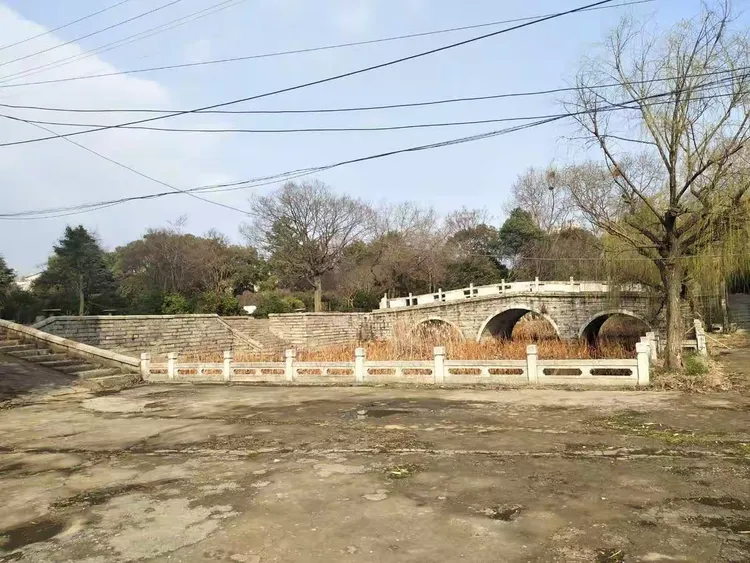 我的母校一黄冈林校