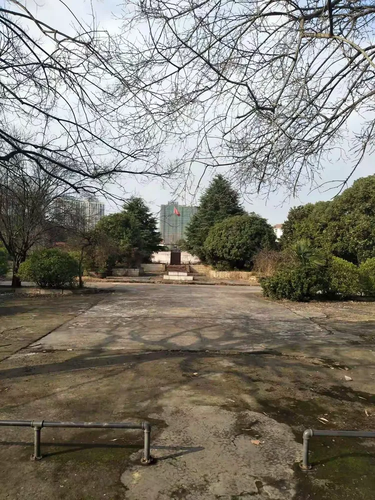 我的母校一黄冈林校
