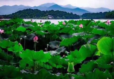 2023年6月24号日记（331）