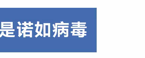 【卫生保健】联合幼儿园温馨小提示：诺如病毒我知道！