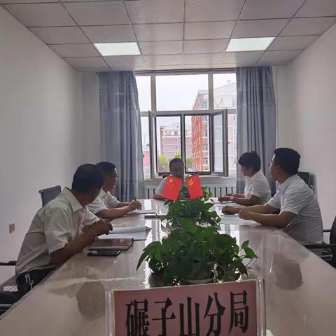 市社保中心碾子山分局党支部召开党史学习教育专题组织生活会