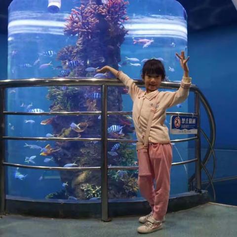 昨天去西安曲江海洋馆了，真好玩