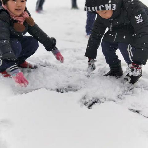 雪地上的小精灵