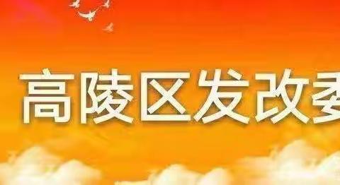 市决策咨询委员会来我区调研城乡融合发展试验区建设工作