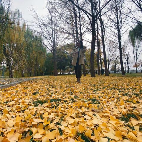 九年一件事之【我的阅读  我做主】活动