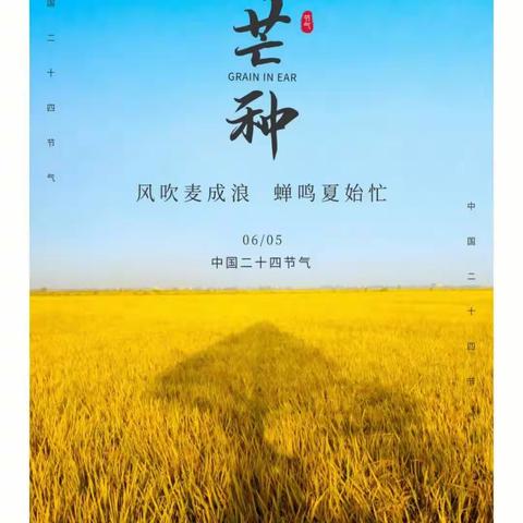 【贾汪区富强幼儿园——新教育·开发卓越课程】芒种至，夏始忙——记芒种节气主题活动