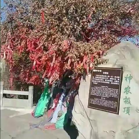 焦作市神农山风景区神农山极顶