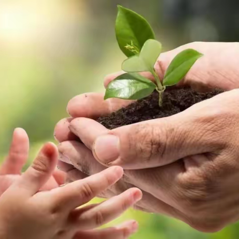 『新城中学九年级一部 傅学敏』胸怀凌云志，不负少年时               ——致新城中学九年级五班