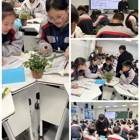 缙云县初中科学课堂教学评审活动