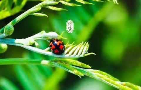 寻找春天  从心出发——和平四幼中二班班级主题活动