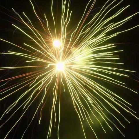 延安路小学二（1）班陈文萱2019寒假实践活动