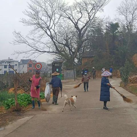 洁净亮家园  防疫迎新春
