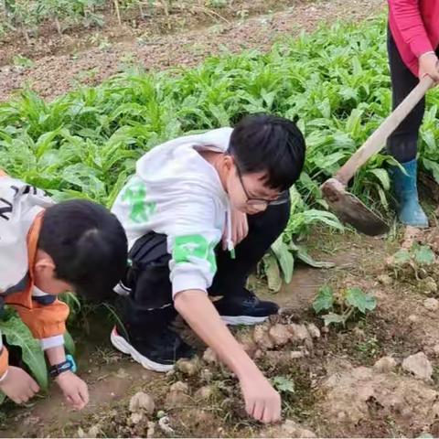 感恩父母，为爱下厨———衡阳市船山英文学校初中部假期劳动教育活动