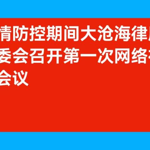 疫情防控期间大沧海律所民委会召开第一次网络视频会议