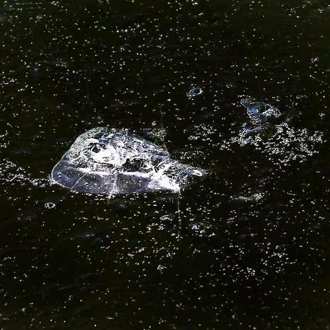 多看你我会融化，不看你我会结冰，最后只好伴着你，做一颗爱的露珠。